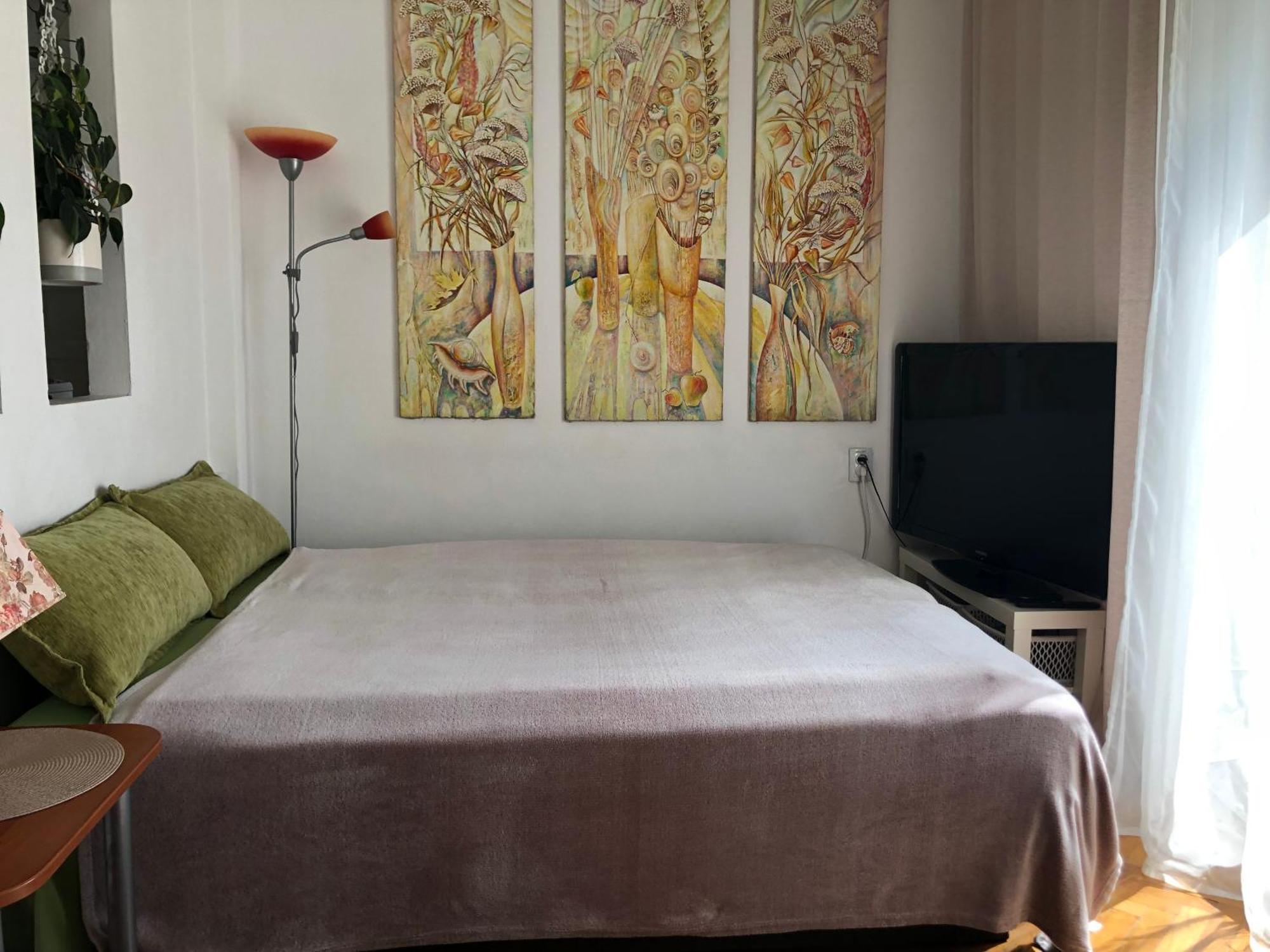 Penthouse Modena Διαμέρισμα Νόβι Σαντ Εξωτερικό φωτογραφία