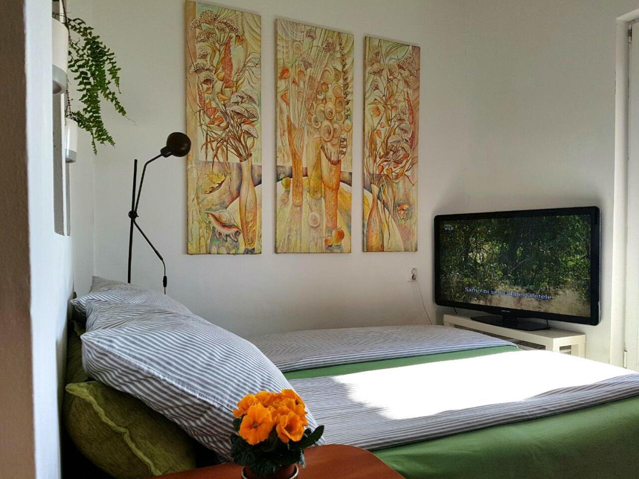 Penthouse Modena Διαμέρισμα Νόβι Σαντ Εξωτερικό φωτογραφία